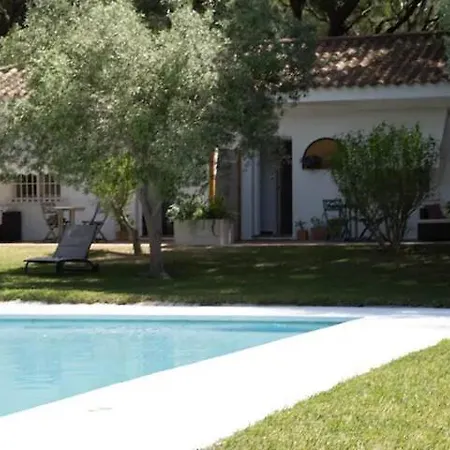 La Tortuga *