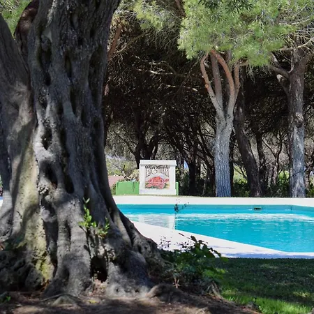 La Tortuga Holiday home