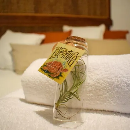 La Tortuga Holiday home Chiclana de la Frontera