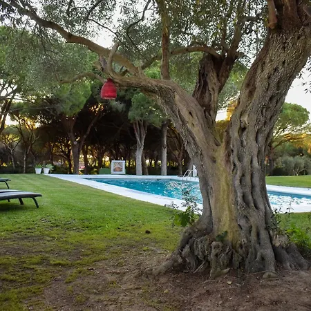 Holiday home La Tortuga